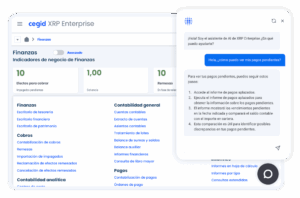 Ceg Sp Xpr Web 2025 112 Agente Financiero | APL Software Consulting